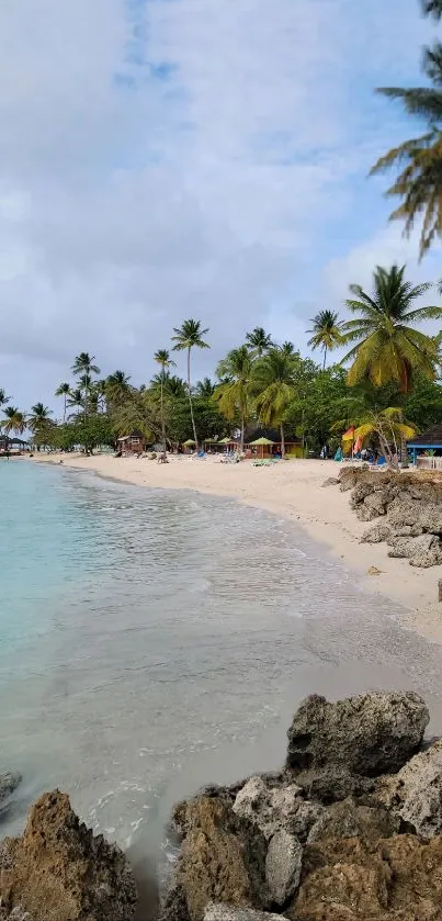 A tropical beach with palm trees and turquoise waters under a bright sky.