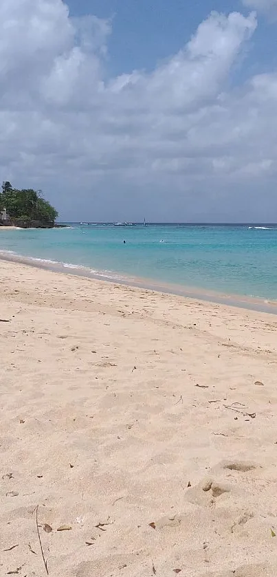 Tropical beach view with golden sand and clear blue skies.