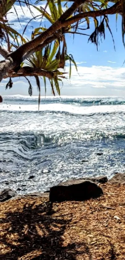 Tropical beach with ocean waves and trees on a sunny day, perfect for mobile wallpaper.