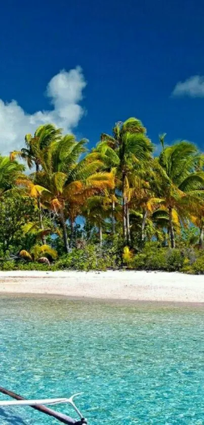 Tropical beach with palm trees and clear blue water.