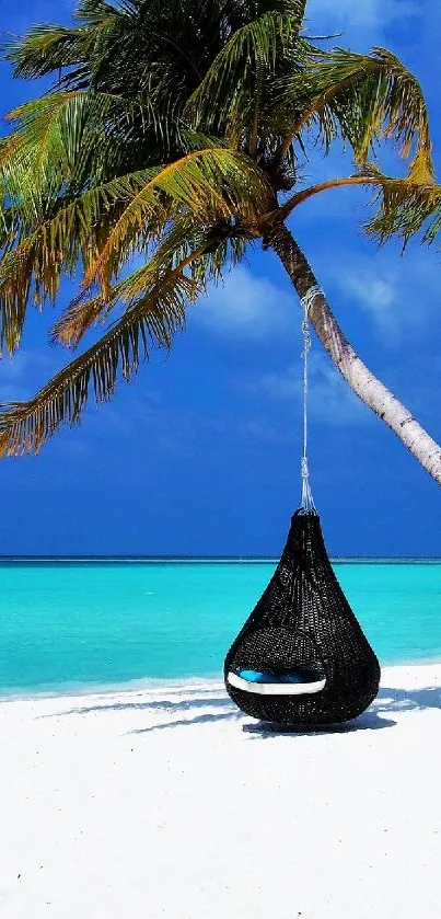 Tropical beach with palm tree and clear blue ocean waters under a vibrant sky.