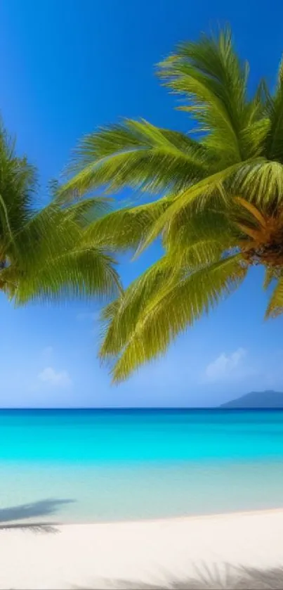 A stunning tropical beach with palm trees and turquoise water under a blue sky.