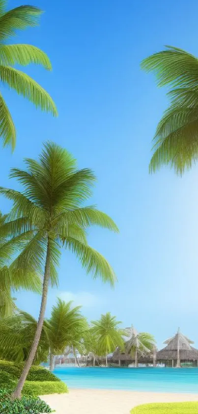 Tropical beach with palm trees and clear blue sky.