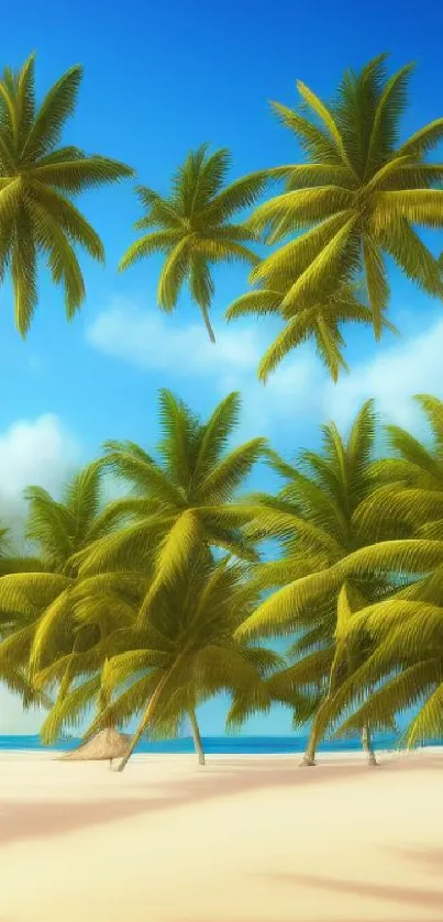 Tropical beach with palm trees and clear blue sky wallpaper.