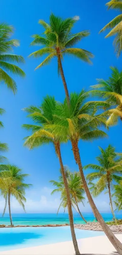 Tropical beach with palms and blue ocean under a clear sky.