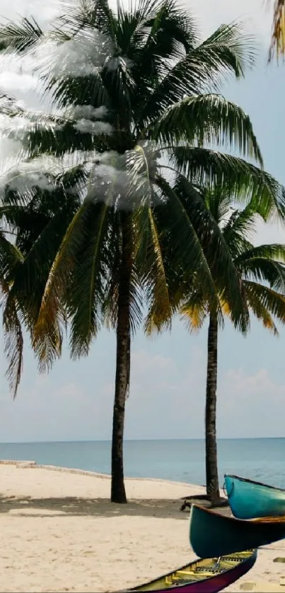 Tropical beach wallpaper with palm trees and ocean.