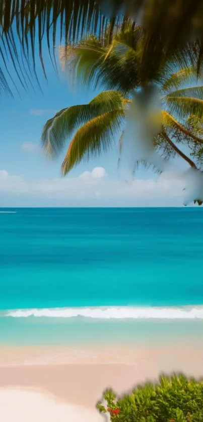 Tropical beach with turquoise water and palm trees.
