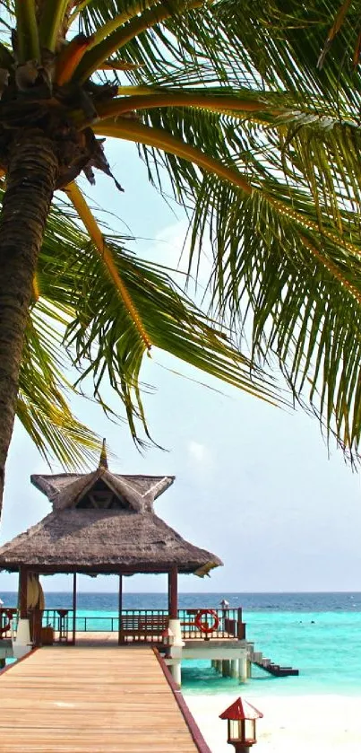 A tropical beach with palm tree and turquoise waters under a blue sky.
