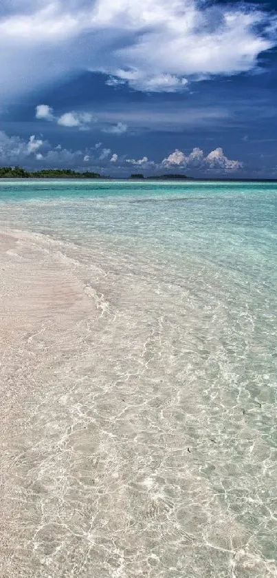 Tropical beach with azure sky and clear ocean water.