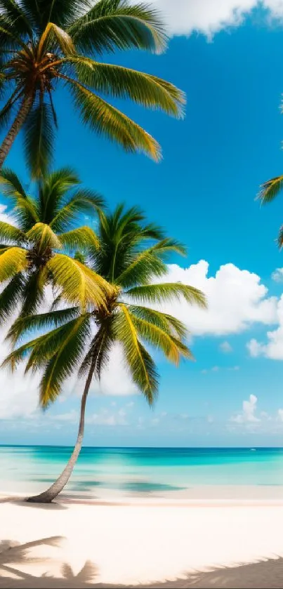 Tropical beach with palm trees and blue sky mobile wallpaper.