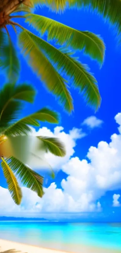 Tropical beach wallpaper with palm trees and blue sky.