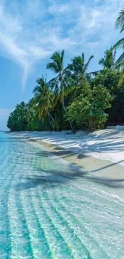 Tropical beach with palm trees and clear water under a blue sky.