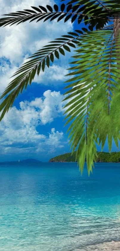 Tropical beach with azure waters and lush green palms under a vibrant sky.