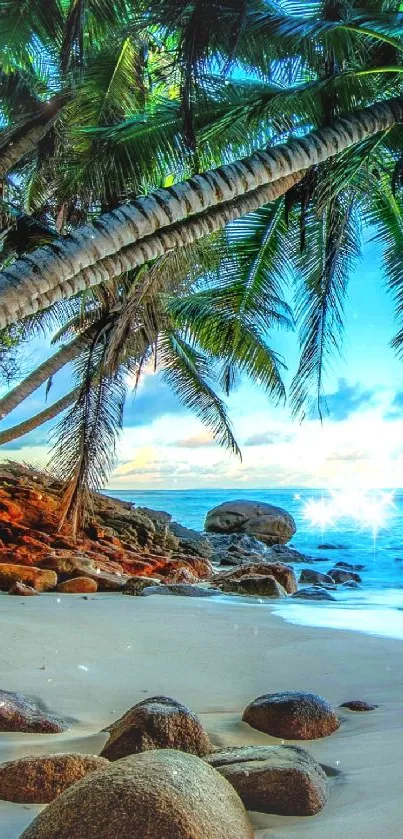 A picturesque tropical beach with palm trees and serene blue waters.