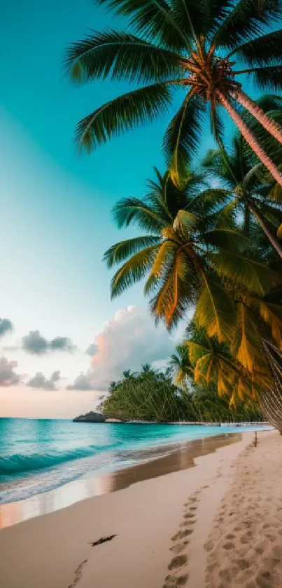 Tropical beach at sunrise with palm trees and calm ocean waves.