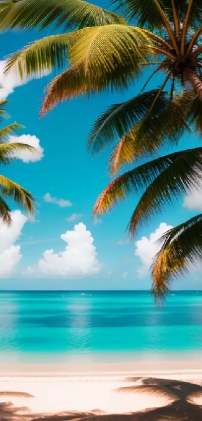 Tropical beach scene with palm trees and turquoise ocean.