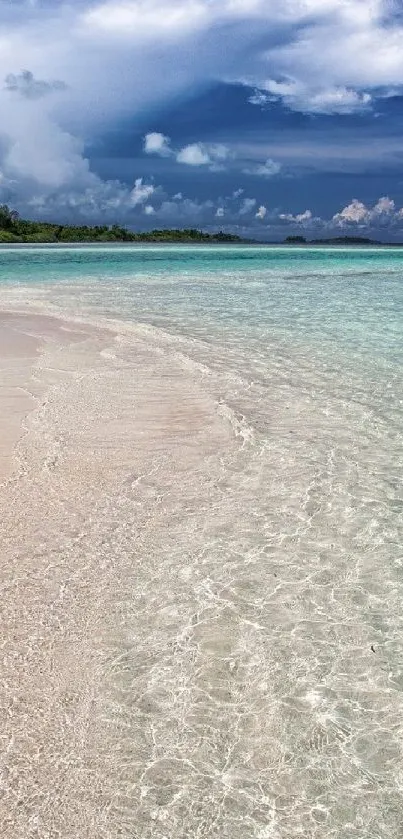 Tropical beach with clear waters and azure sky in mobile wallpaper.