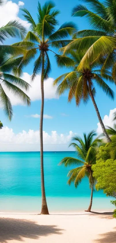 Tropical beach scene with palm trees and turquoise ocean.