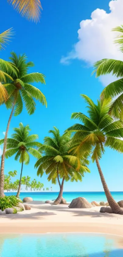 Tropical beach scene with palm trees and clear blue sky.