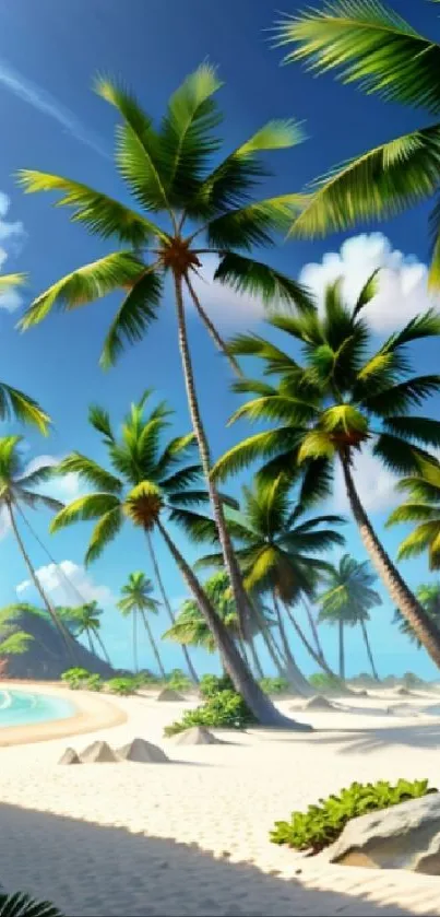 Lush palm trees on a sunny tropical beach with blue skies and white sand.