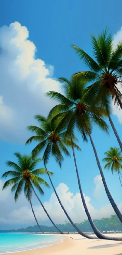 Beautiful tropical beach with palm trees and clear blue skies on a sunny day.