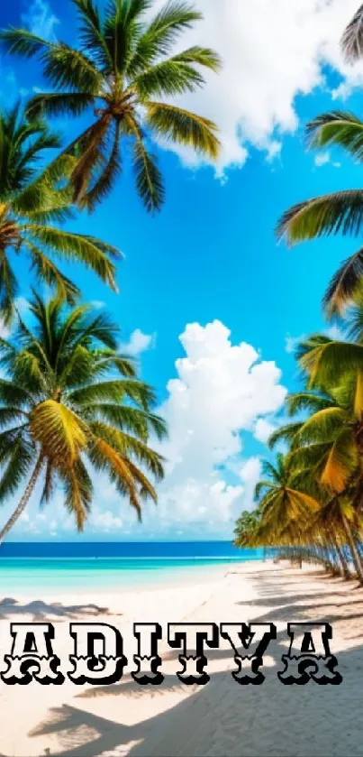 Scenic tropical beach with palm trees and vibrant blue skies.