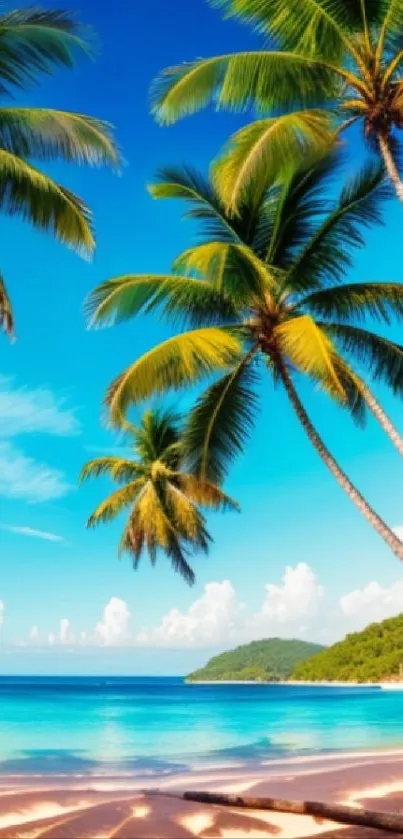 Tropical beach with palm trees and turquoise water under a clear blue sky.