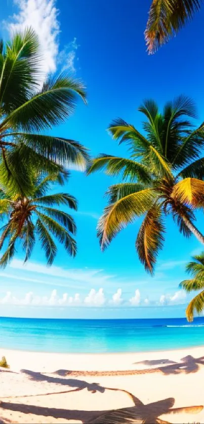 Tropical beach with palm trees and blue ocean under a sunny sky wallpaper.