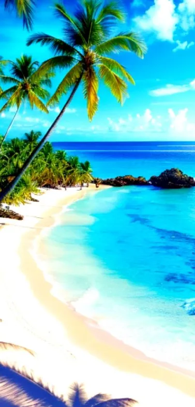 Tropical beach with palm trees and crystal-clear blue ocean waters.