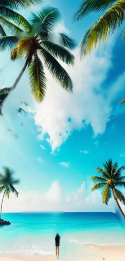 Tropical beach with palm trees and blue ocean under clear sky.