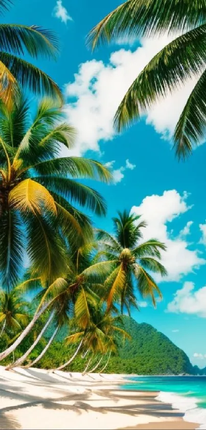 Tropical beach with palm trees and blue ocean under a clear sky.