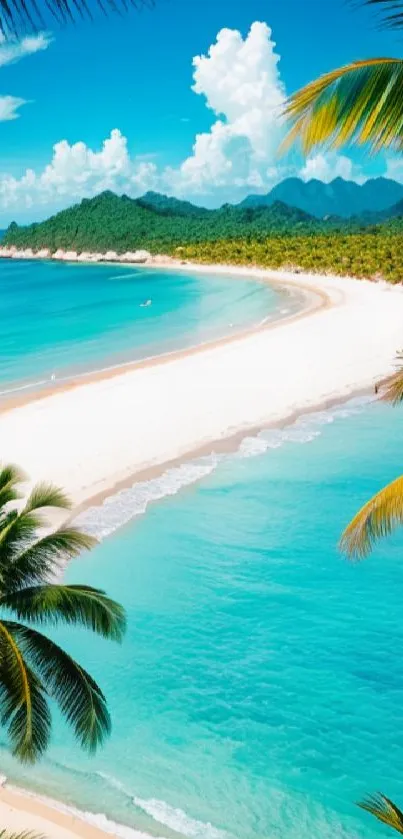 Tropical beach wallpaper with turquoise waters and palm trees.