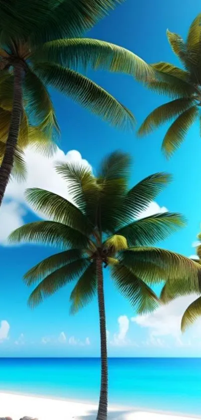 Vibrant tropical beach mobile wallpaper with blue skies and lush palm trees.