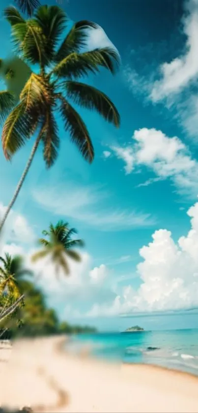 Tropical beach with palm trees under a vibrant sky and ocean view.