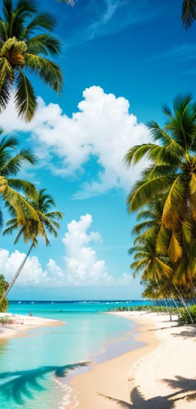 Tropical beach with palm trees and blue ocean.