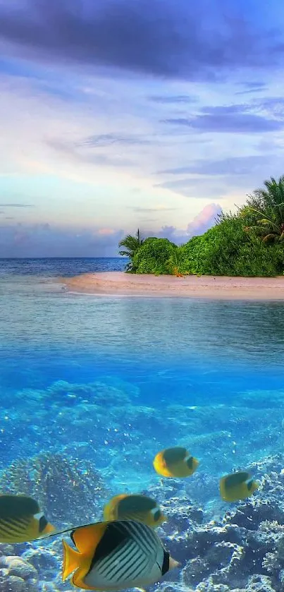 A tropical beach with clear blue ocean and colorful fish swimming underwater.