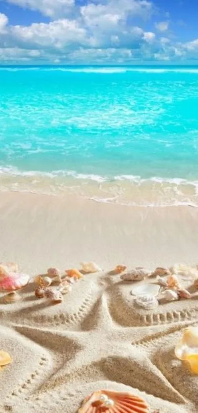 Beach wallpaper with starfish, seashells on sandy shore, and azure ocean waves.