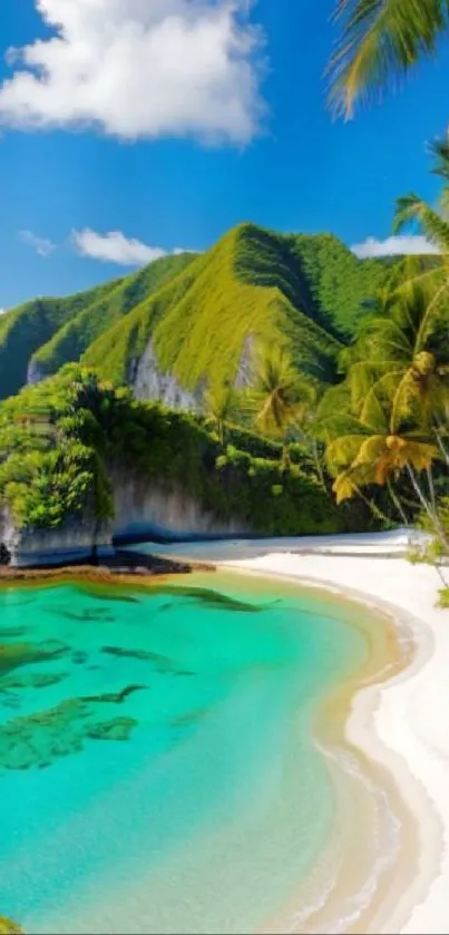 A tropical beach with blue waters and lush greenery.