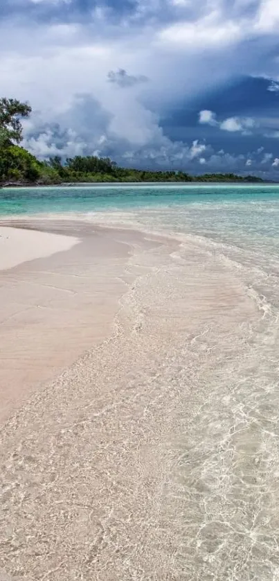 Tropical beach with turquoise waters and clear blue skies.