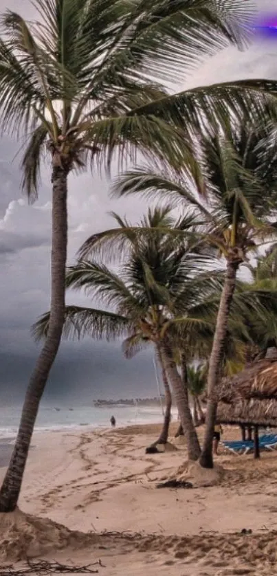 Scenic tropical beach with palm trees and sandy shore under cloudy sky.