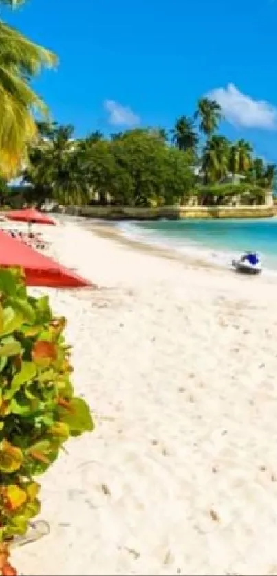 Tropical beach with palm trees, white sand, and vibrant blue ocean.