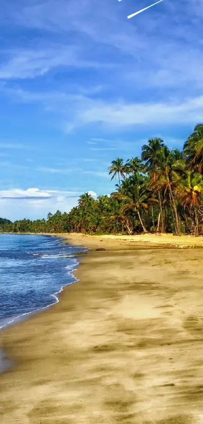 Tropical beach with palm trees and a blue sky.