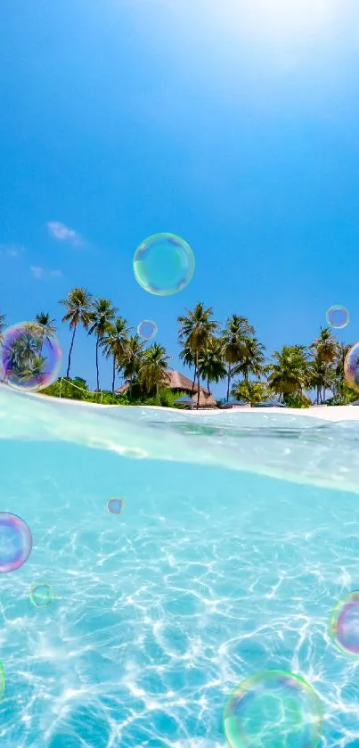 Tropical beach with clear water and palm trees under a bright blue sky.