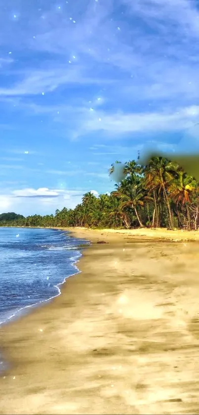 Tropical beach with palm trees and blue sky wallpaper.