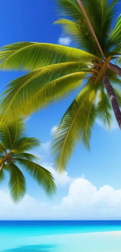 Tropical beach with palm trees and blue sky wallpaper.