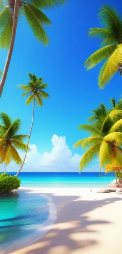 Tropical beach wallpaper with palms and turquoise ocean under a blue sky.