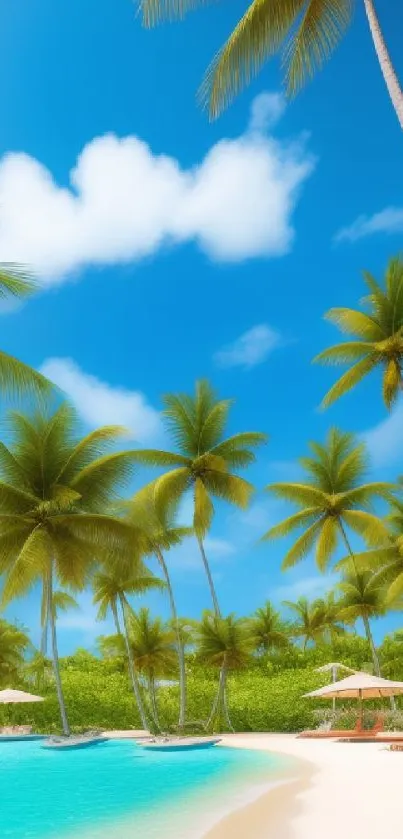 Tropical beach with palm trees and blue sky mobile wallpaper.