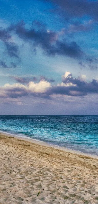 Tropical beach with blue water and sky, perfect for phone wallpaper.