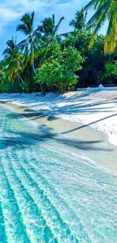 Tropical beach with palm trees and aqua blue ocean waves.