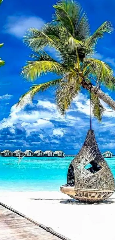 Palm tree on tropical beach with blue skies and ocean.